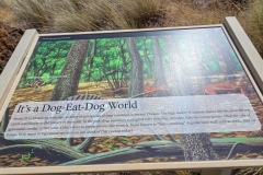 John-Day-Island-in-Time-info-graphic-dog