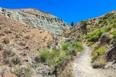 John-Day-Island-in-time-Early-trail-bridge-in-distance