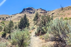 John-Day-Island-in-time-early-trail-grassland