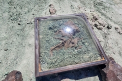 John-Day-Island-in-time-fossil-box
