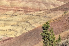 John-Day-Painted-Hills-Cliffside-close
