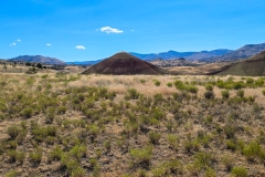 John-Day-Painted-Hills-above-grass