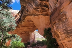 Natural-Bridges-Kachina-Bridge-1st-view-from-bottom
