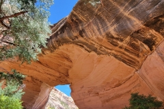 Natural-Bridges-Kachina-Bridge-Close-up