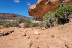 Natural-Bridges-Kachina-Bridge-Dirt-path-big-rock