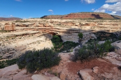 Natural-Bridges-Kachina-Bridge-Looking-down-at-Bridge