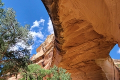 Natural-Bridges-Kachina-Bridge-Underside-good