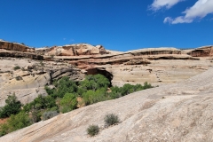 Natural-Bridges-Kachina-Bridge-lower-bowl-trees-blcok-bridge