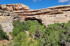 Natural-Bridges-Kachina-Bridge-trees-blocking-bridge
