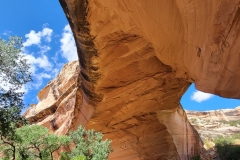 Natural-Bridges-Kachina-Bridge-underside-close