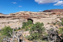 Natural-Bridges-Kachina-Bridge-view-from-the-top