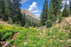 Kelly-Lake-Creek-Valley-Near-Lake-look-back