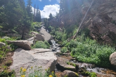 Kelly-Lake-cascading-creek