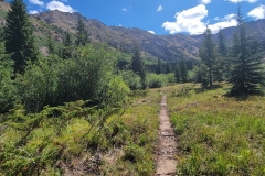 Kelly-Lake-path-leading-to-middle-meadow