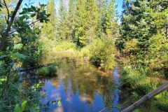 Kelly-Lake-small-pond-with-trees
