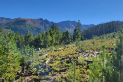 Kelly-lake-Early-Mountain-Views