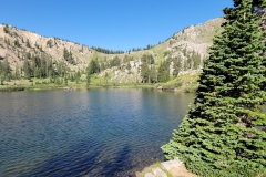 Brighton-Lakes-Lake-Catherine-with-all-sun
