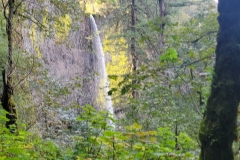Latourell-Falls-Lower-Falls-side-angle