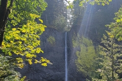 Latourell-Falls-lower-fall-through-trees