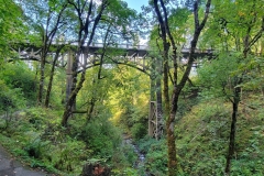 Latourell-Falls-tall-bridge