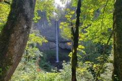 Latourell-Falls-through-trees-wide