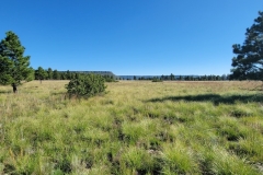 Little-Horse-Mesa-Top-side-wide-field