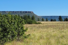 Little-Horse-Mesa-backside-Mesa-views