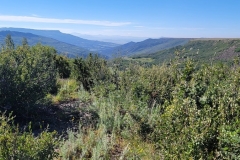 Little-Horse-Mesa-wide-mesa-with-bushes