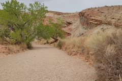 Little-Wildhorse-Canyon-Green-Trees-Red-Path