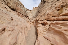 Little-Wildhorse-Canyon-path