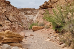 Little-Wildhorse-Canyon-wide-slot
