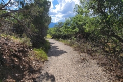 LLoyds-Lake-trail-through-the-trees