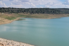 Lloyds-Lake-Lake-top-of-damn-to-the-trees