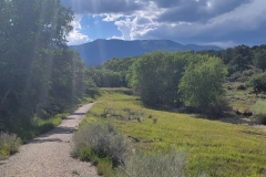 Lloyds-Lake-the-trail-in-the-trees