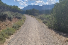 Lloyds-Lake-trail-with-no-lake-and-mountains