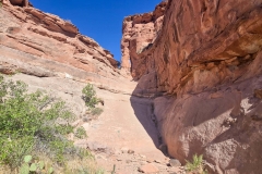 Longbow-Arch-Canyon-up