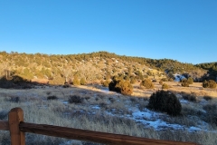 Longs-Canyon-early-hillside-with-bushes