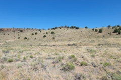 Lookout-Mountain-Del-Norte-rolling-hill