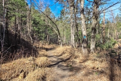 Lovers-Leap-Csuter-Lower-backside-trail