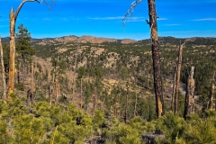 Lovers-Leap-Custer-First-look-at-hillsides