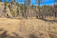 Lovers-Leap-Custer-Valley-Trail