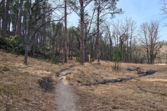 Lovers-Leap-Custer-low-trail