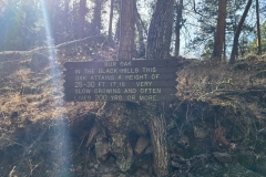 Lovers-Leap-Custer-oak-sign