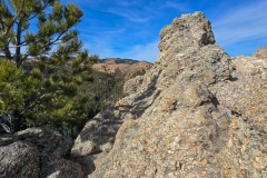 Lovers-Leap-Custer-rock-and-tree-at-leap