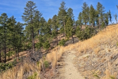 Lovesr-Leap-Custer-topside-trail-ealry