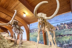 Mammoth-Pit-Mammoths-front