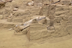 Mammoth-Pit-bone-in-digsite