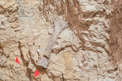 Mammoth-Pit-digsite-bone-and-flags