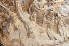 Mammoth-Pit-digsite-early
