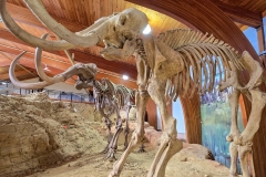 Mammoth-Pit-two-full-mammoths